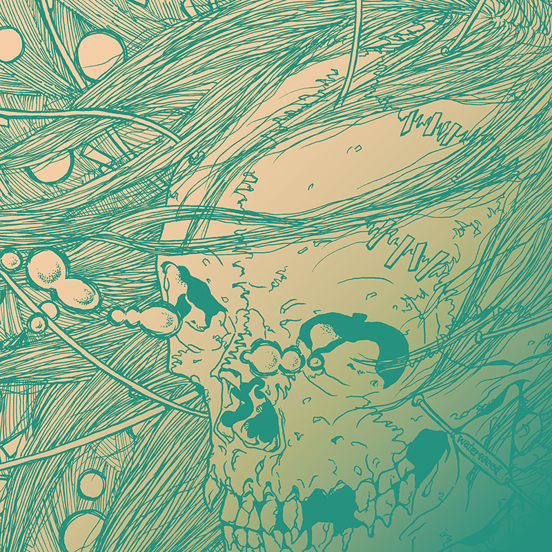 waterweed