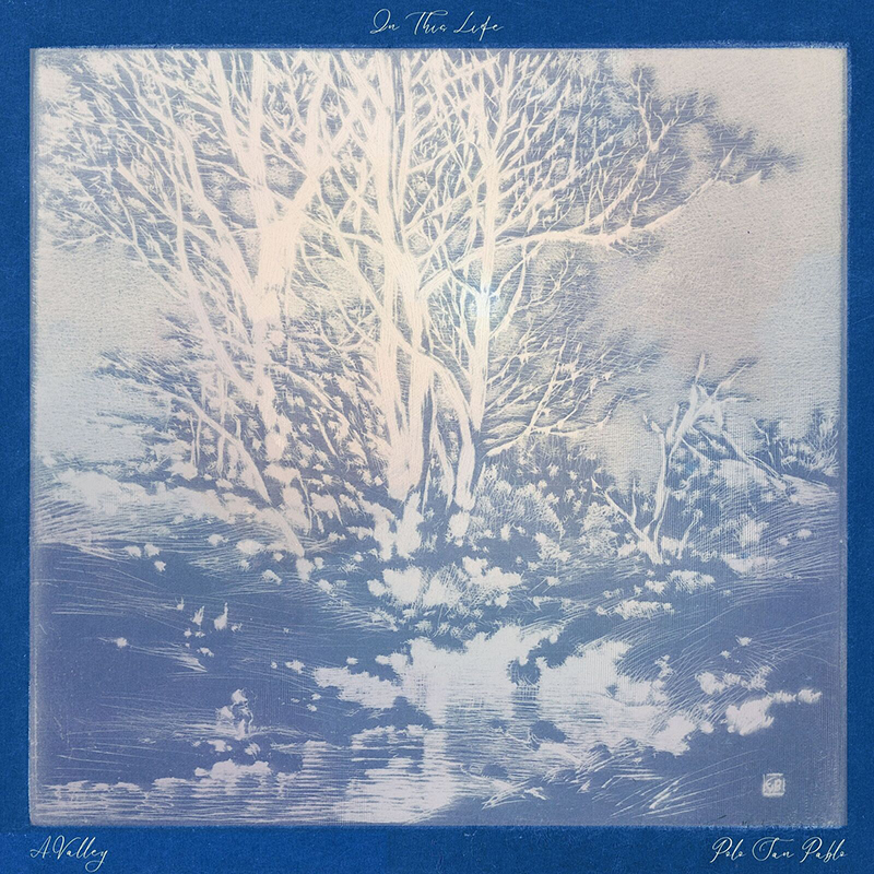 「In This Life」